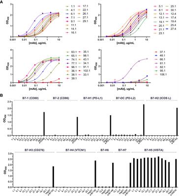 A highly potent anti-VISTA antibody KVA12123 - a new immune checkpoint inhibitor and a promising therapy against poorly immunogenic tumors